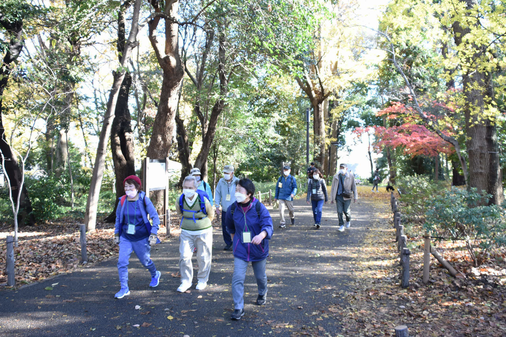 公園を歩く人々